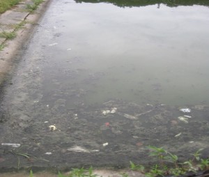 polluted pool
